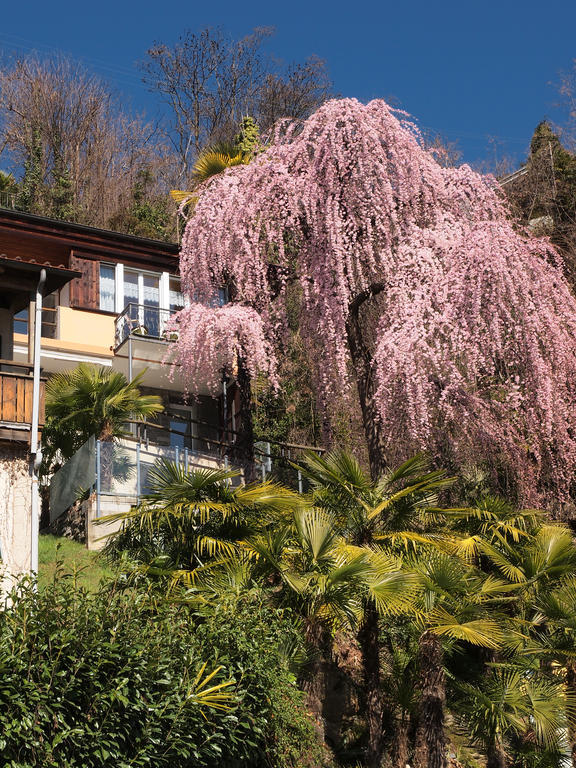 Casa Sibylle Bei Appartement