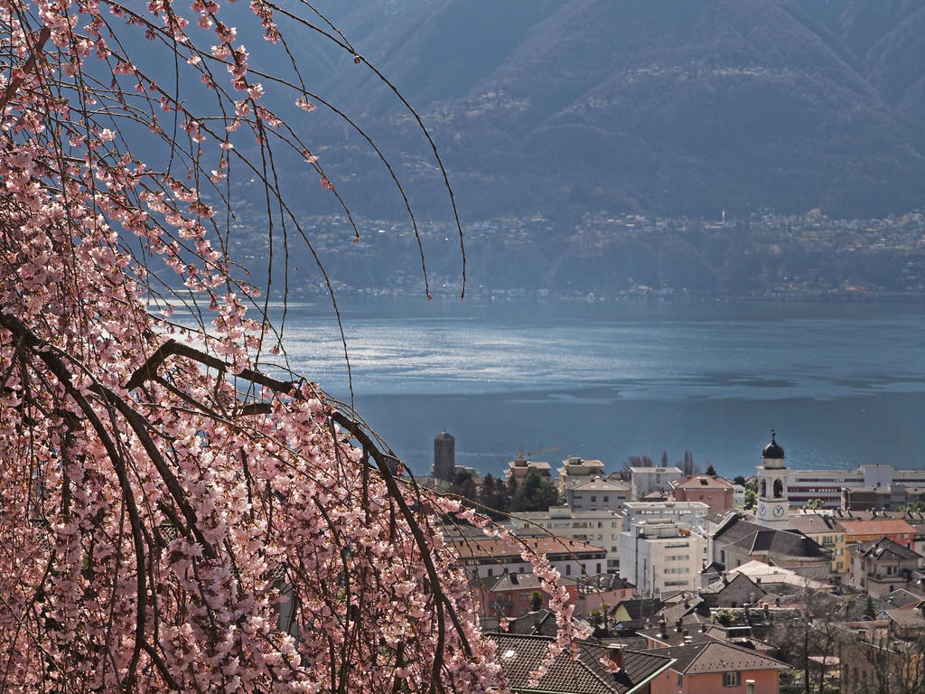 Appartement Casa Sibylle Bei Locarno